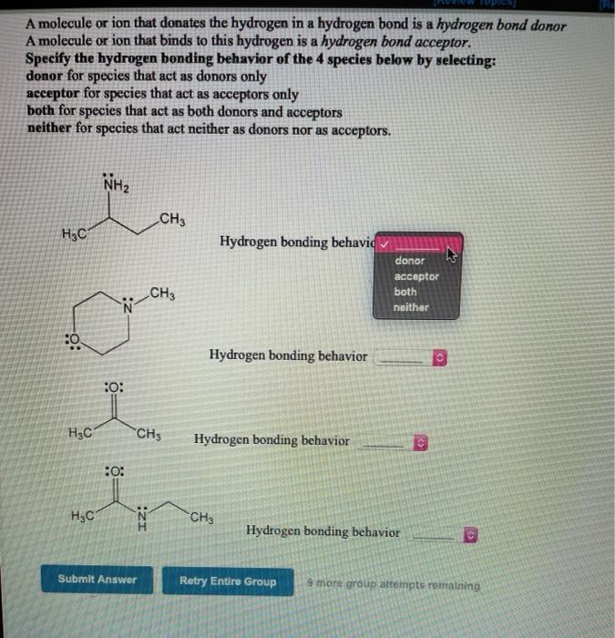 Solved A Molecule Or Ion That Donates The Hydrogen In A Chegg