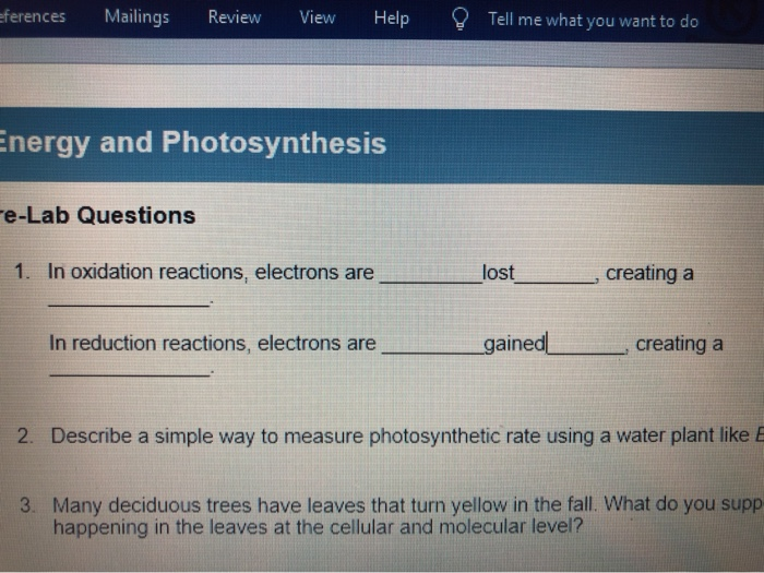 Solved Eferences Mailings Review View Help Tell Me What You Chegg