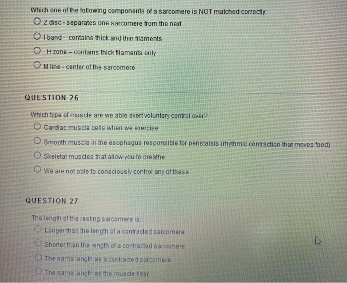 Solved Which One Of The Following Components Of A Sarcomere Chegg