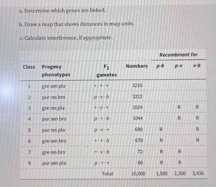 Solved A Three Point Testcross Was Made In Corn The Chegg