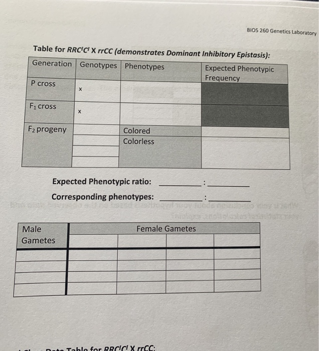 Session Pre Lab Exercise Complete The Tables On Chegg