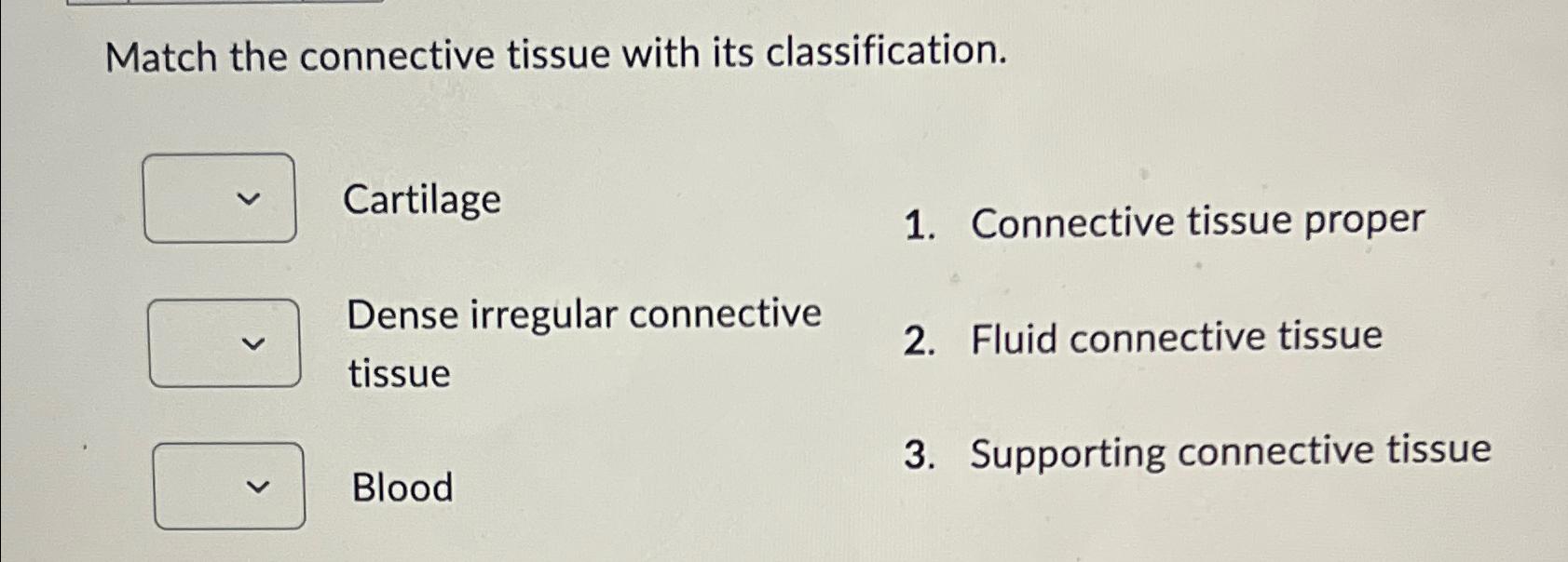 Solved Match The Connective Tissue With Its Chegg