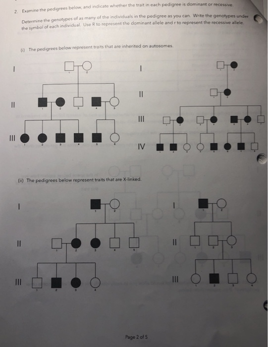 Solved Examine The Pedigrees Below And Indicate Whether Chegg