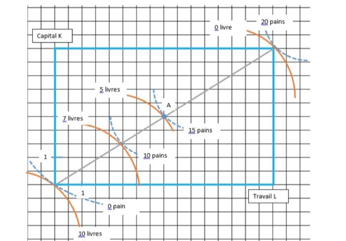 Solved Ex 5 August 2018 Consider The Edgeworth Box Chegg