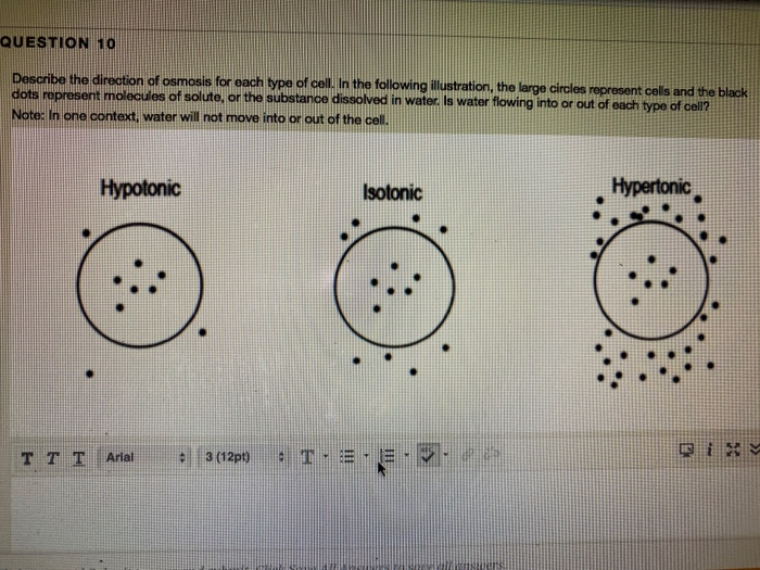 Solved QUESTION 10 Describe The Direction Of Osmosis For Chegg