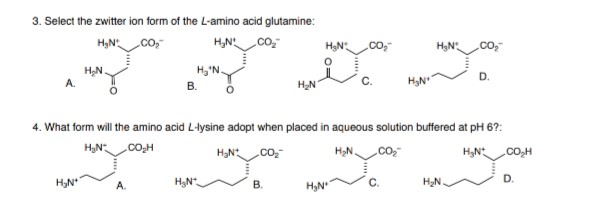 Solved Select The Zwitter Ion Form Of The L Amino Acid Chegg