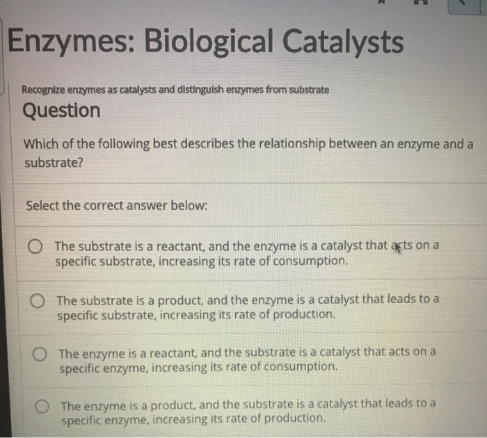 Solved Enzymes Biological Catalysts Recognize Enzymes As Chegg