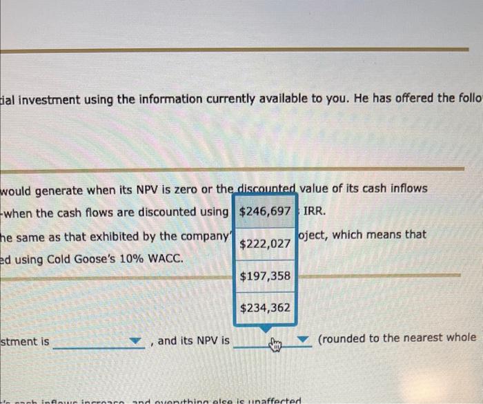 Solved Understanding The Irr And Npv The Net Present Chegg