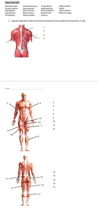 Solved Need Help Labeling Chegg