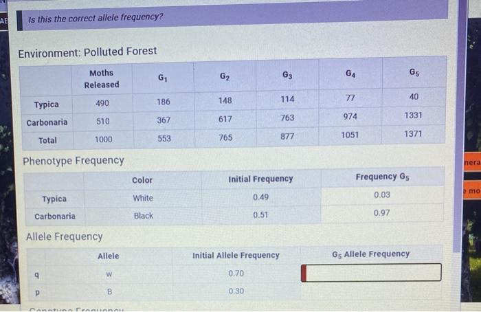 Solved Ae Is This The Correct Allele Frequency Environment Chegg