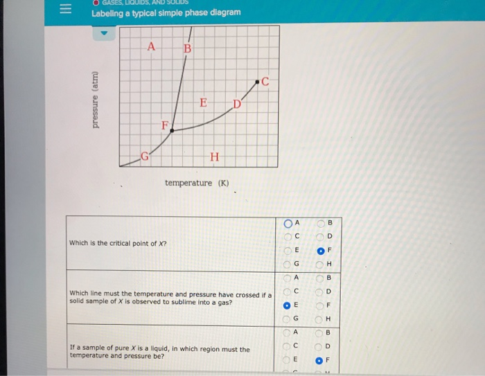 Solved O GASES LIQUIDS AND SOUDS Labeling A Typical Simple Chegg