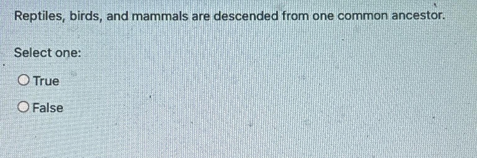 Solved Reptiles Birds And Mammals Are Descended From One Chegg