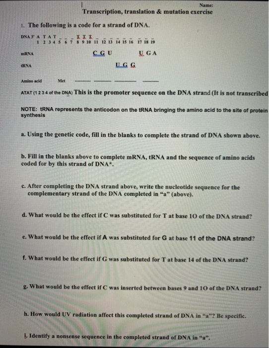 Solved Name Transcription Translation Mutation Exercise Chegg