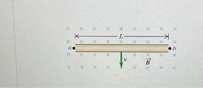 Solved In The Figure A Conducting Rod Of Length L Cm Chegg