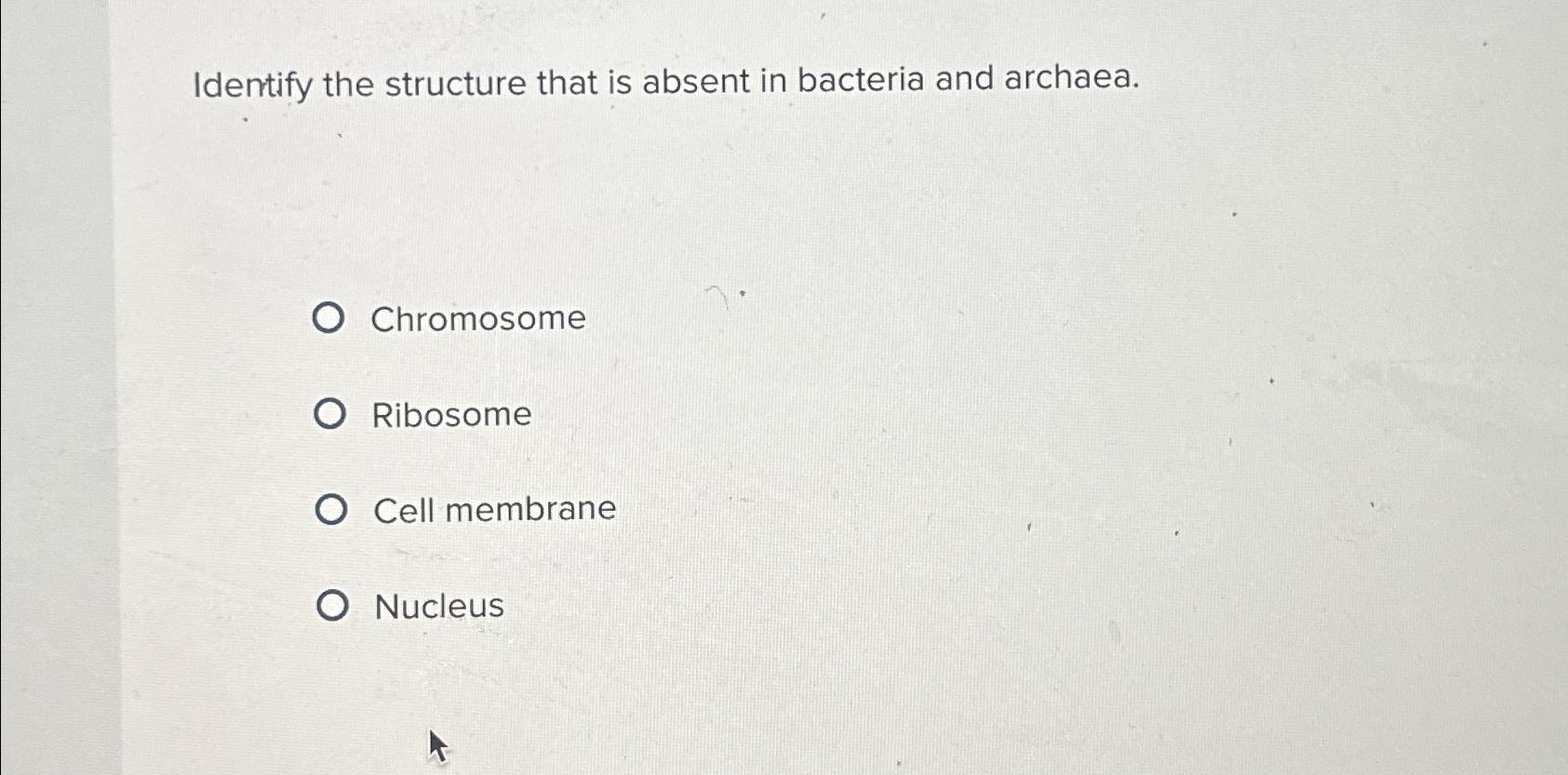 Solved Identify The Structure That Is Absent In Bacteria And Chegg