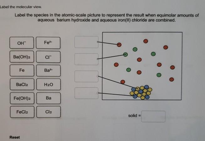 Solved Label The Molecular View Label The Species In The Chegg