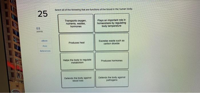 Solved Select All Of The Following That Are Functions Of The Chegg