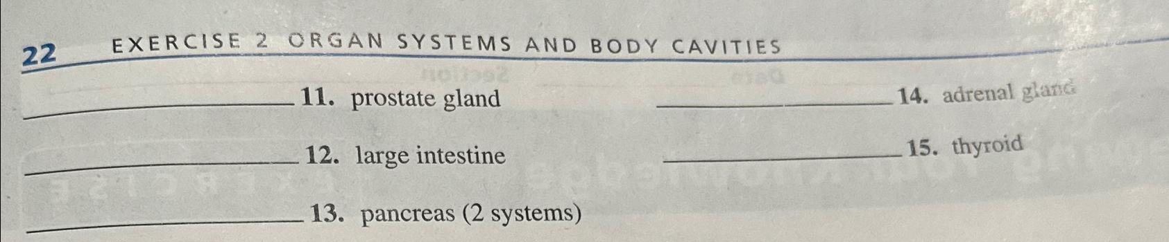 Solved Exercise Organ Systems And Body Cavities Chegg