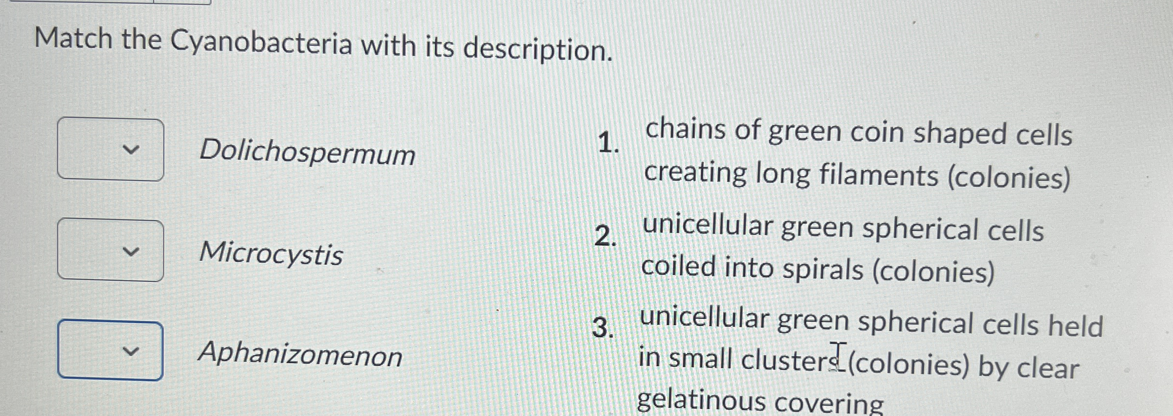 Solved Match The Cyanobacteria With Its Chegg