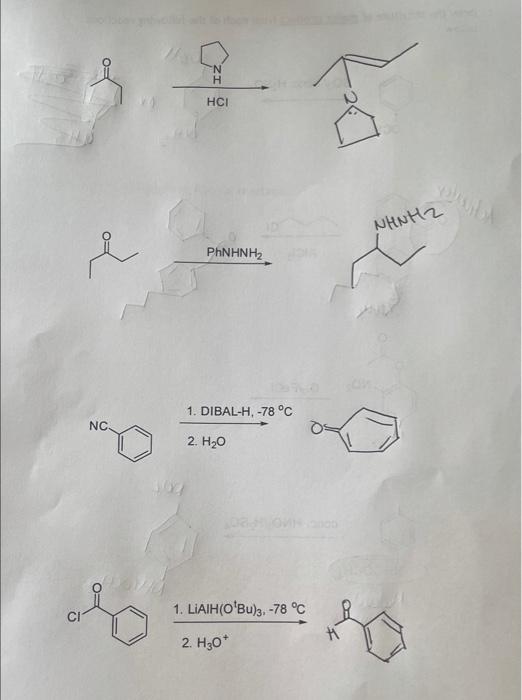 Solved N Н HCI NHNH2 e PhNHNH 1 DIBAL H 78 C NC 2 H20 0 Chegg