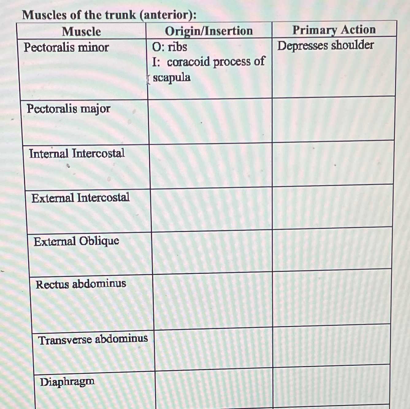 Solved Muscles Of The Trunk Chegg