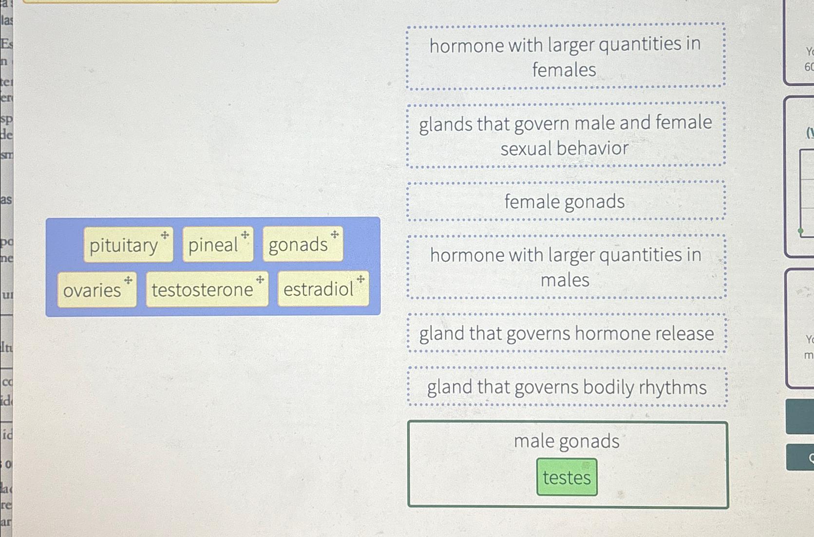 Solved Hormone With Larger Quantities In Femalesglands That Chegg