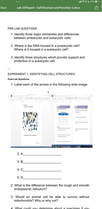 Solved PRE LAB QUESTIONS IDENTIFY 1 Threp Chegg