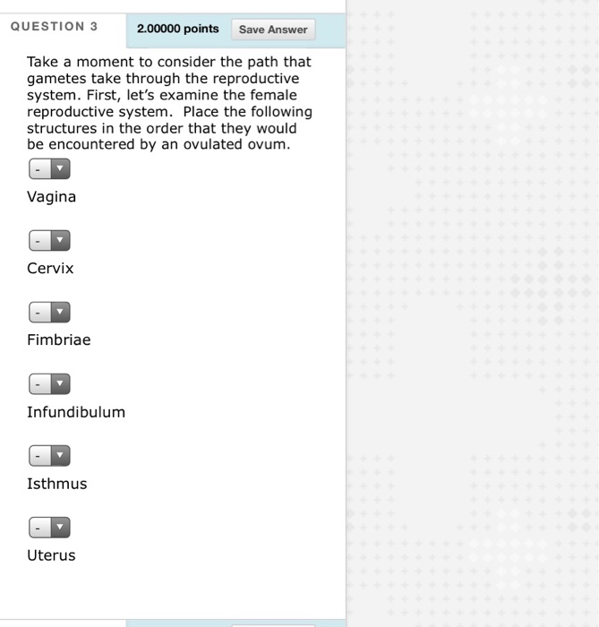 Solved Question Points Save Answer There Are Very Chegg