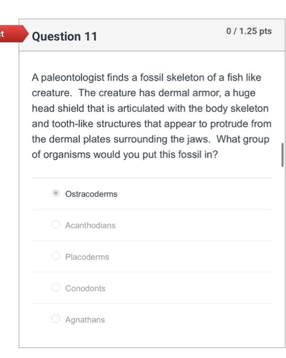 Solved Vertebrates Are Defined By A Set Of Unique Features Chegg