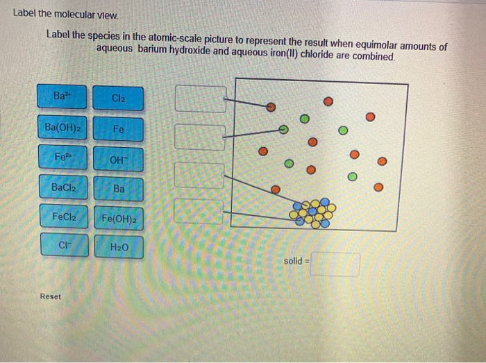 Solved Label The Molecular View Label The Species In The Chegg