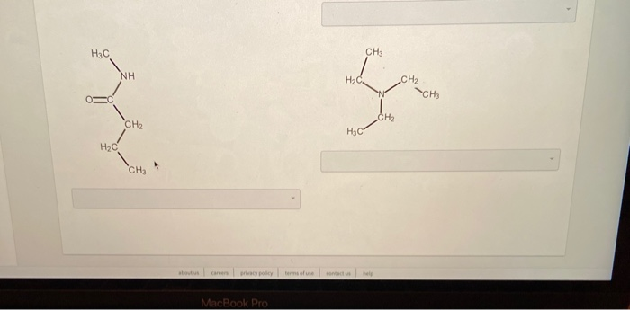 Solved Classify Each Structure According To Its Functional Chegg