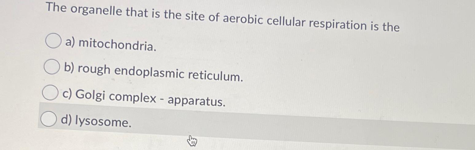 Solved The Organelle That Is The Site Of Aerobic Cellular Chegg