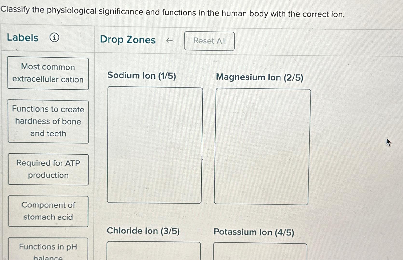 Solved Classify The Physiological Significance And Functions Chegg