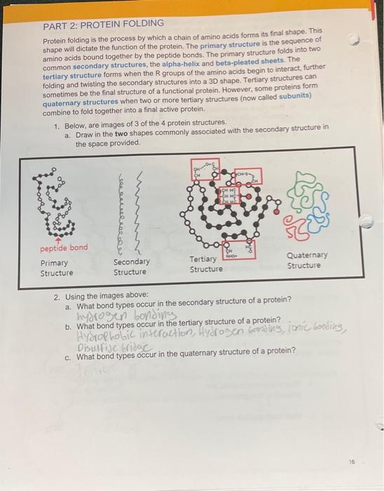 Solved Part Protein Folding Protein Folding Is The Chegg