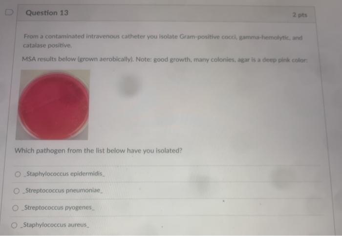 Solved Question Pts From A Contaminated Intravenous Chegg