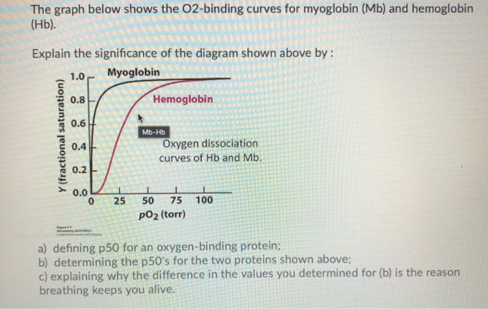 The Graph Below Shows The O Binding Curves For Chegg