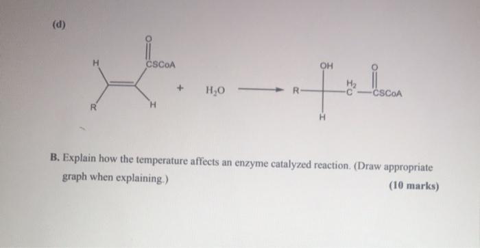 Solved A A Select Which Type Of Enzyme Would Catalyze Chegg