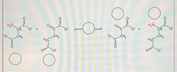 Solved Within The Figure Identify The Reactants Products Chegg