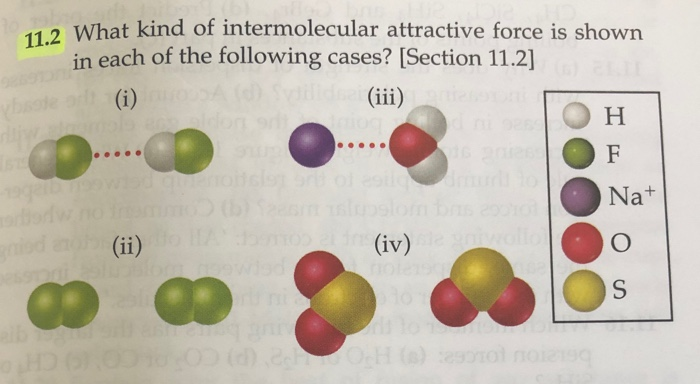 Solved What Kind Of Intermolecular Attractive Force Is Chegg