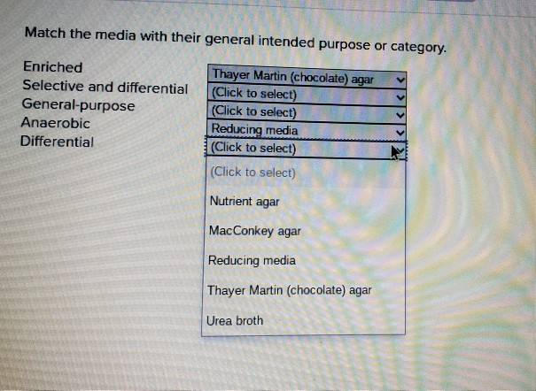 Solved Match The Media With Their General Intended Purpose Chegg