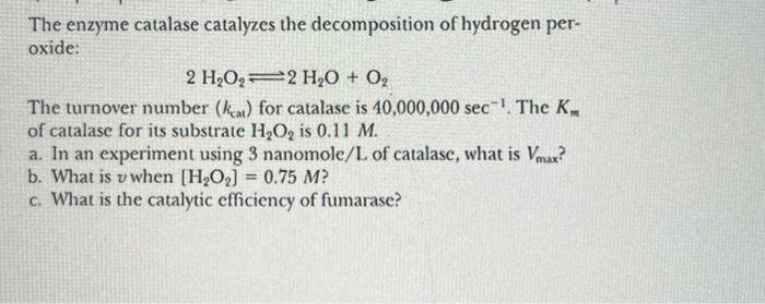 Solved The Enzyme Catalase Catalyzes The Decomposition Of Chegg