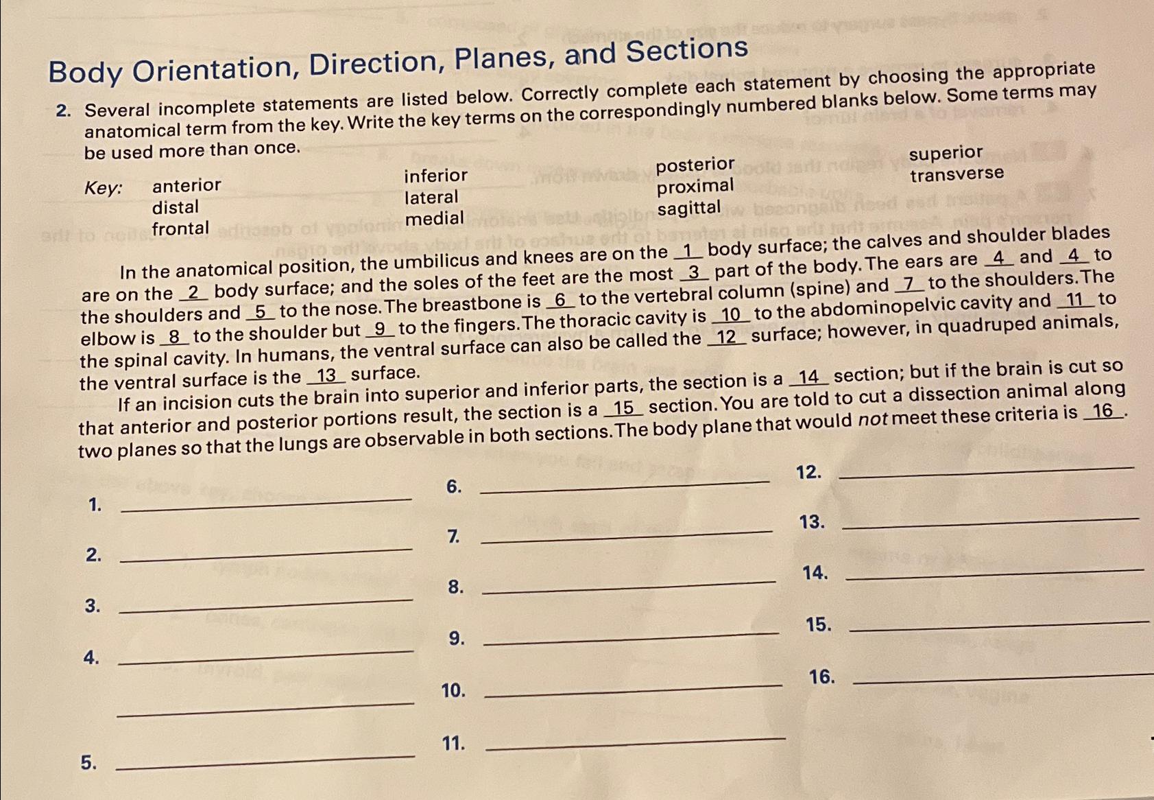 Solved Body Orientation Direction Planes And Sections2 Chegg