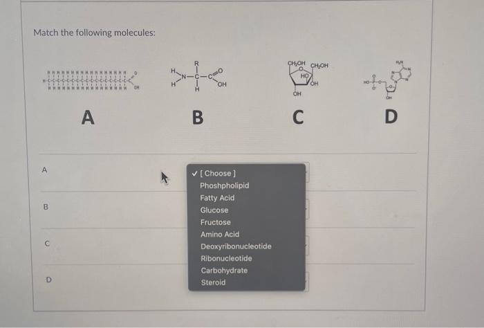 Solved Match The Following Molecules Chegg