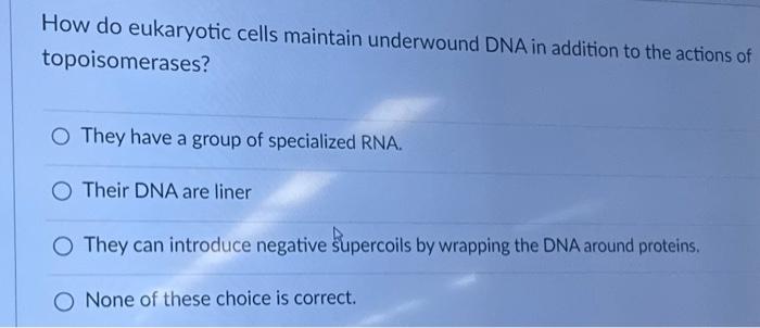 Solved How Do Eukaryotic Cells Maintain Underwound DNA In Chegg