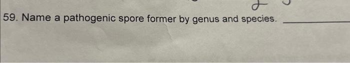 Solved D Name A Pathogenic Spore Former By Genus And Chegg