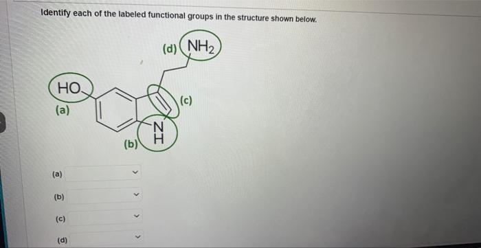 Solved Identify Each Of The Labeled Functional Groups In