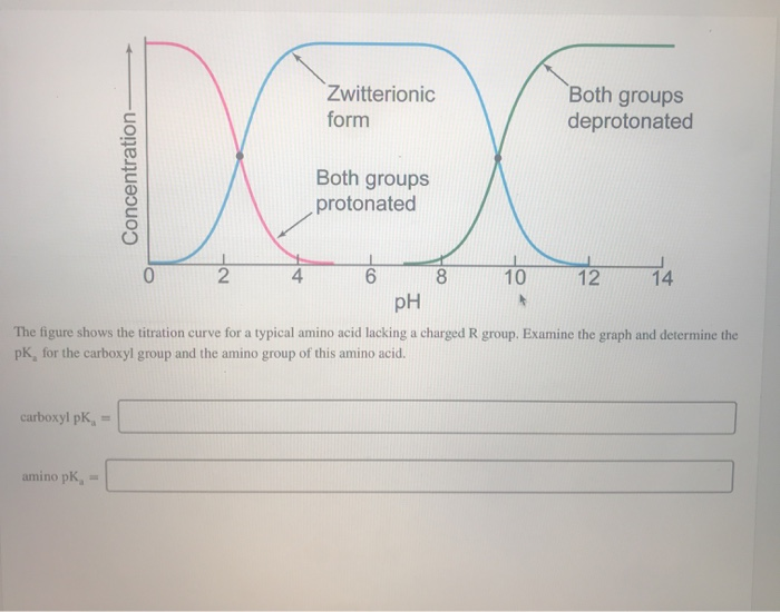 Solved De Zwitterionic Both Groups Deprotonated Form Both Chegg