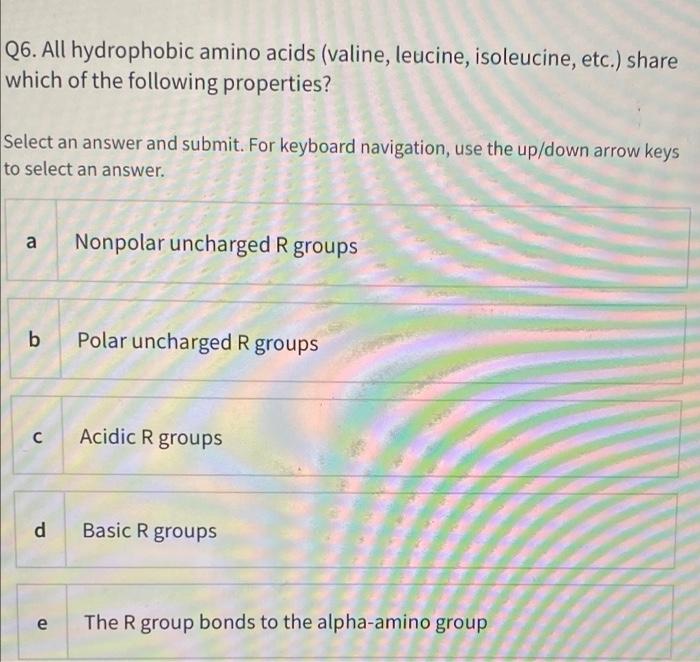 Solved Q All Hydrophobic Amino Acids Valine Leucine Chegg