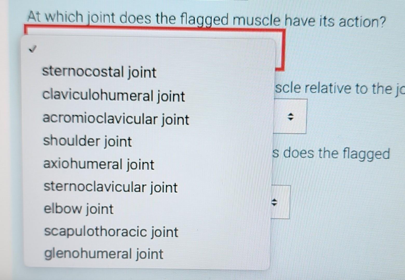 Identify The Specific Structure That Is Flagged Chegg