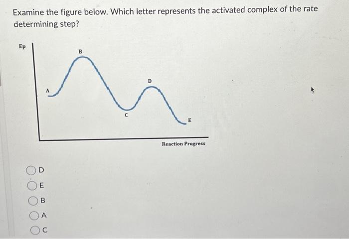 Solved Examine The Figure Below Which Letter Represents The Chegg